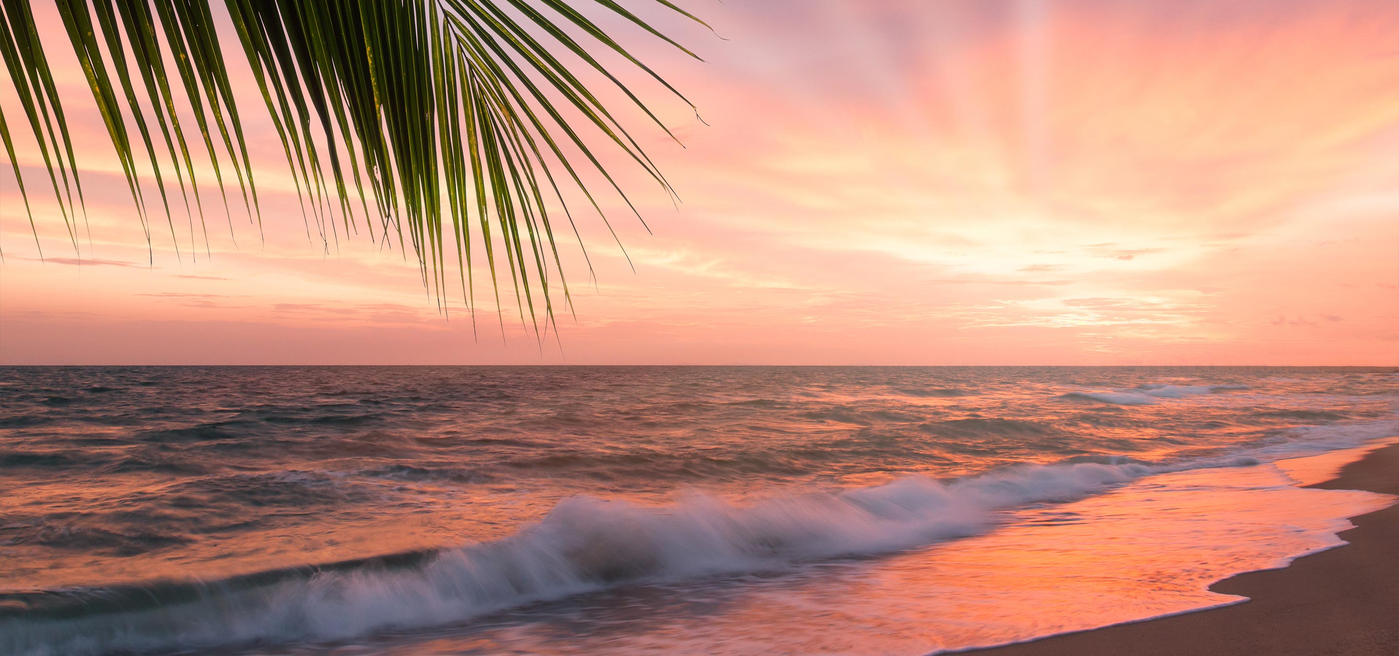 Hero Background Image