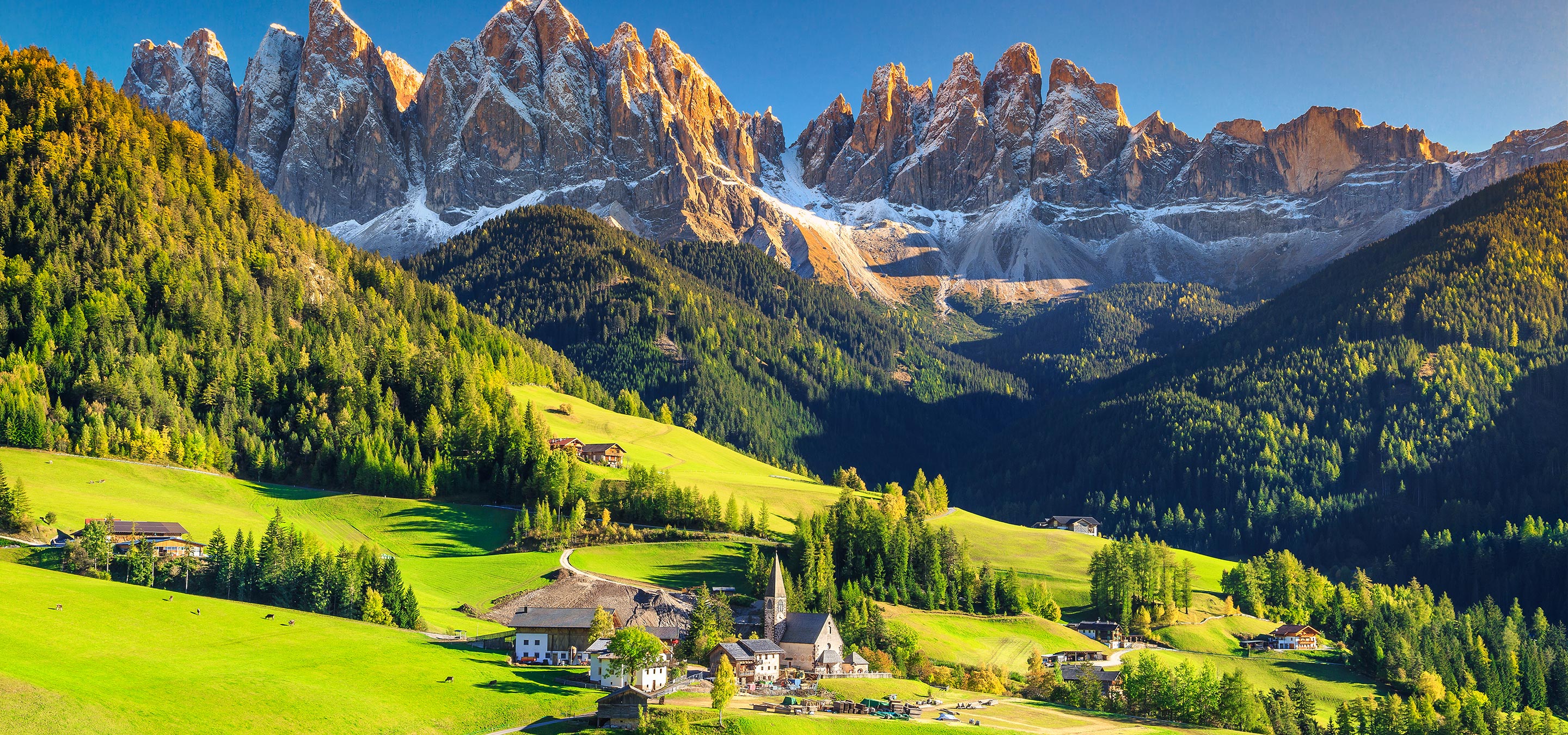 Hero Background Image