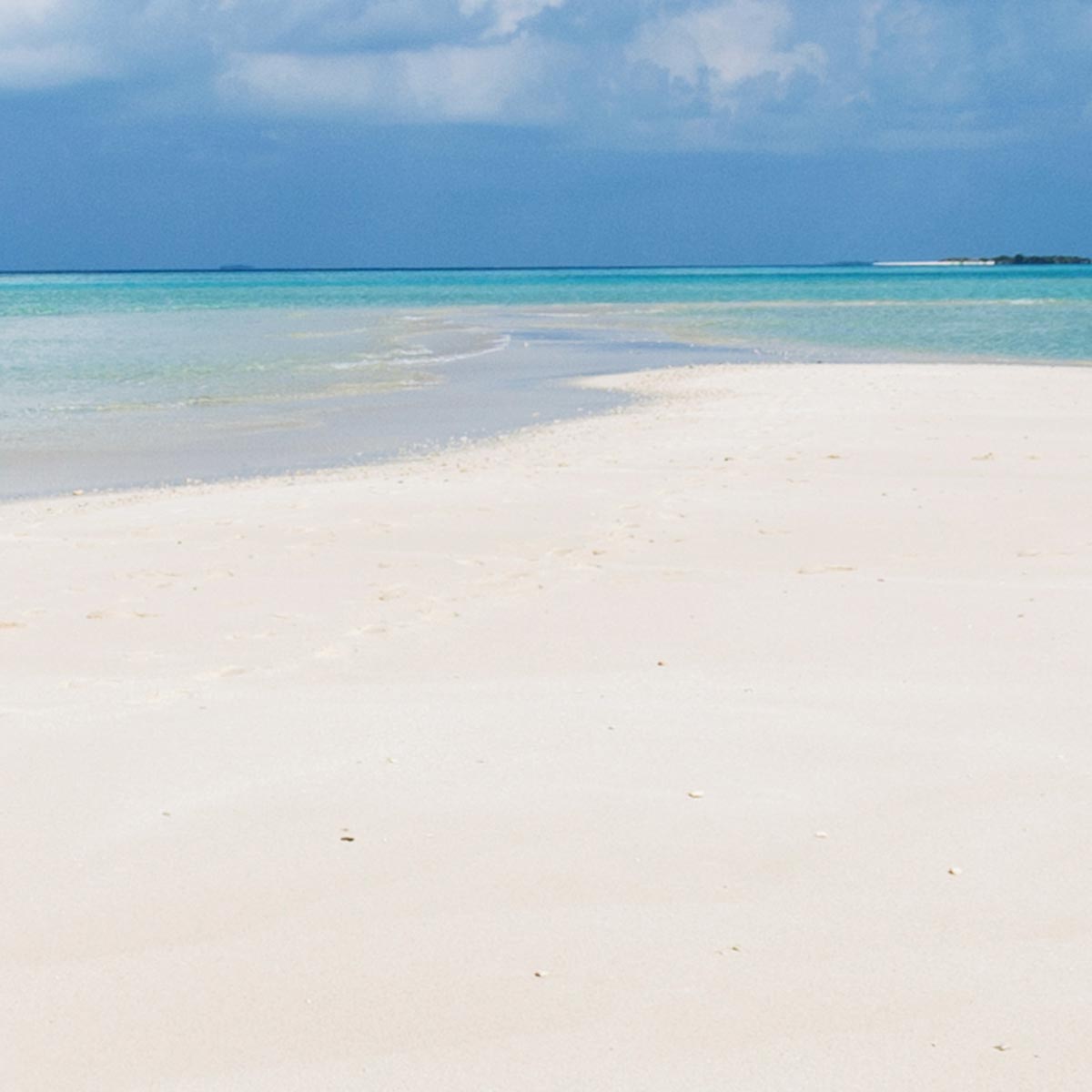 Mes billets électroniques