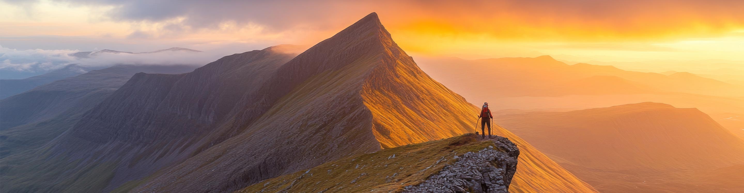 Hero Background Image