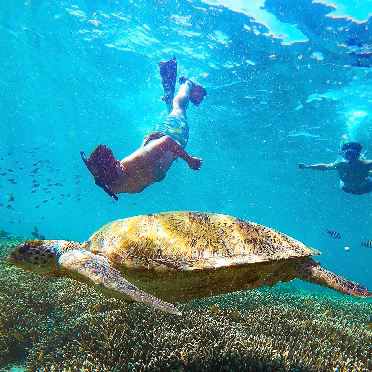 Mes billets électroniques